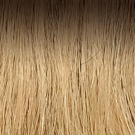 Medium Ash Brown Root / Honey Blonde / Light Pale Blonde