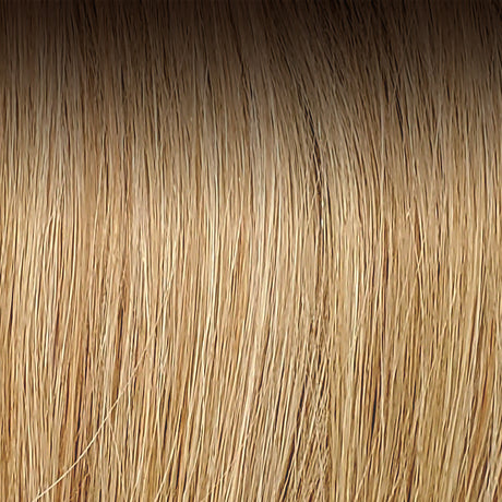 Medium Ash Brown Root / Honey Blonde / Light Pale Blonde