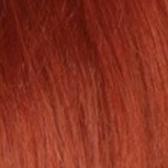 TROC210 PUMPKINSPICE STRAIGHT 24"