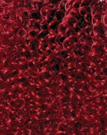 BSSB229 13"+4" LACE 03