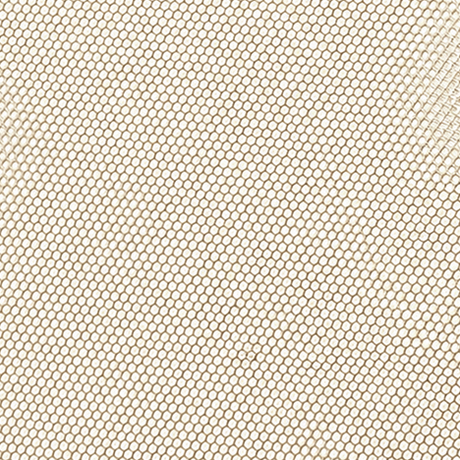 BASE LACE - HD
