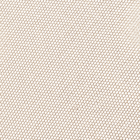 BASE LACE - HD