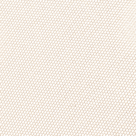 BASE LACE - HD