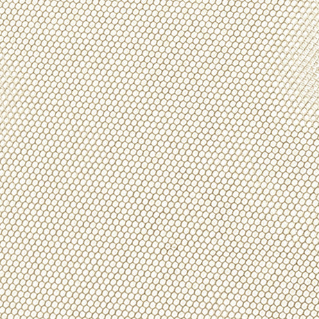 BASE LACE - HD