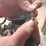 How to remove the crochet hair from the ring