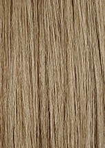 Light Ash Brown / Honey Blonde