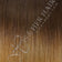 Dark Medium Brown / Honey Blonde