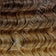 Dark Medium Brown / Light Auburn