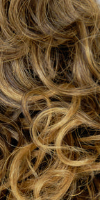 Medium Brown / Honey Blonde