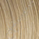 Golden Wheat