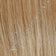Pale Gold Wheat