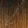 Dark Brown / Light Auburn