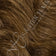 Light Warm Brown / Light Golden Brown