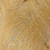 Golden Blonde