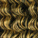 Dark Brown / Honey Blonde