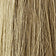 Light Ash Brown/Light Blonde