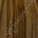 Light Brown Light Golden Brown
