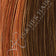 GINGER-H