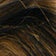 Dark Brown / Light Auburn