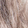 SANDY SILVER