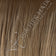 SS Champagne-Medium Blonde highlighted with Golden Blonde, Golden Brown roots
