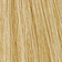 Light Blonde (with ash tone)