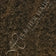 Medium Ash Brown