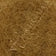 Light Golden Brown