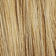 Light Blonde / Honey Blonde