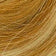 Light Blonde / Honey Blonde (reddish tone)
