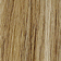 Wheat Blonde Light Blonde