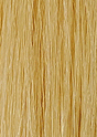 Golden Blonde