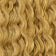 Golden Blonde / Honey Blonde