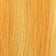 Golden Blonde / Light Pale Bonde