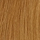 Honey Blonde (darker tone)