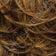 GOLDEN WALNUT