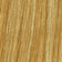 Honey Blonde / Light Pale Blonde