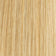 Honey Blonde / Light Pale Blonde