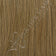 Light Ash Brown