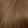 Light Warm Brown