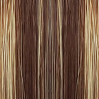 Light Brown / Golden Blonde