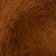 Medium Auburn