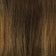 Medium Brown / Honey Blonde