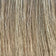 Light Ash Brown / Golden Blonde