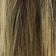 Medium Ash Brown Root / Light Golden Brown