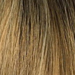 Medium Ash Brown Root / Honey Blonde / Light Pale Blonde