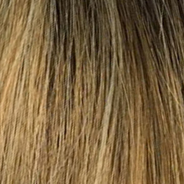 Medium Ash Brown Root / Honey Blonde / Light Pale Blonde