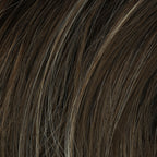 Dark Brown, Medium Light Ash Blond Highlight