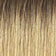 Medium Ash Brown Root / Honey Blonde / Light Pale Blonde