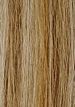 PLATINUM/Honey Blonde